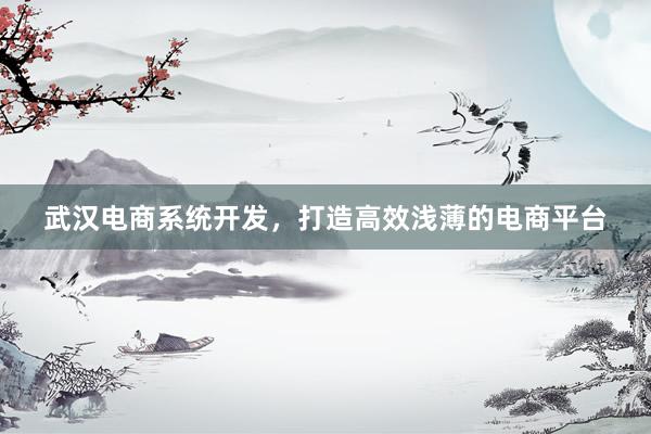 武汉电商系统开发，打造高效浅薄的电商平台